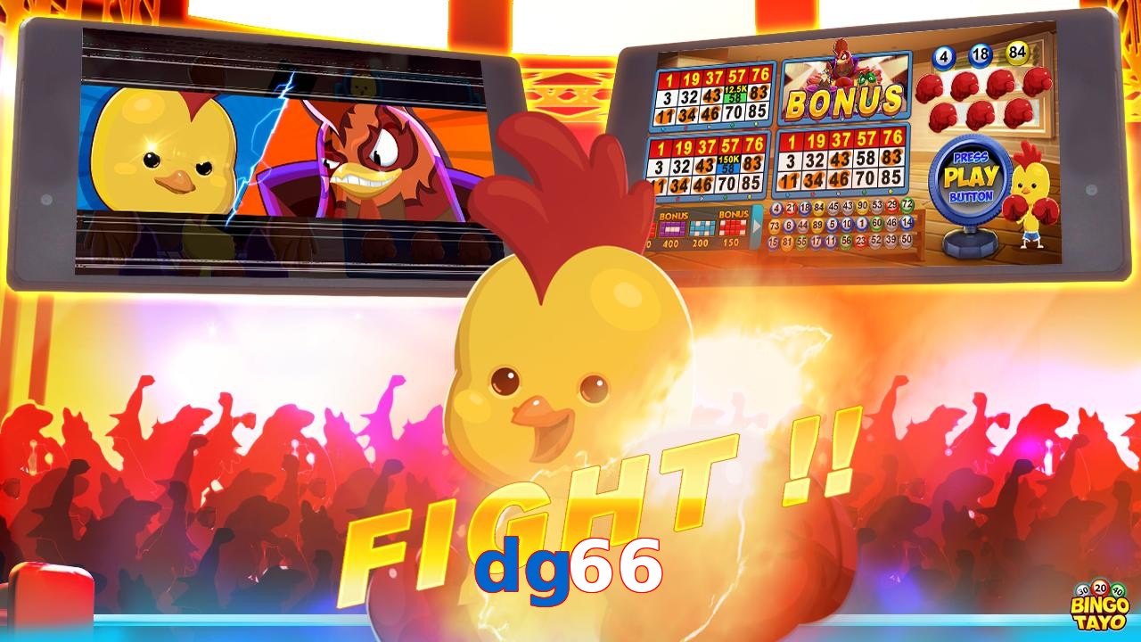 dg66