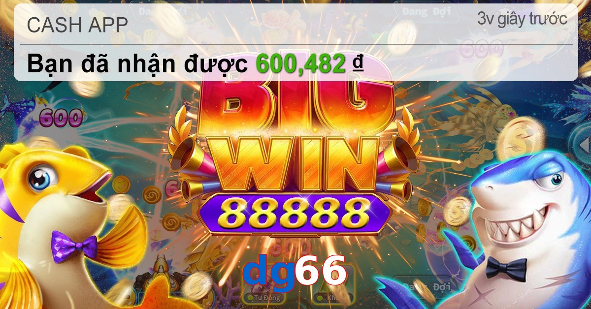 dg66