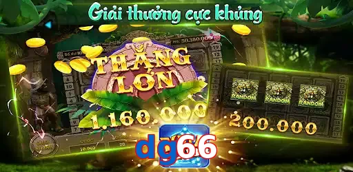 dg66