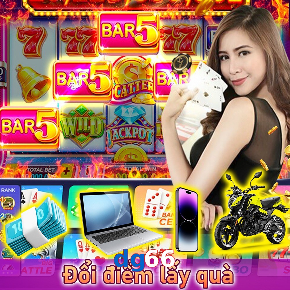 dg66